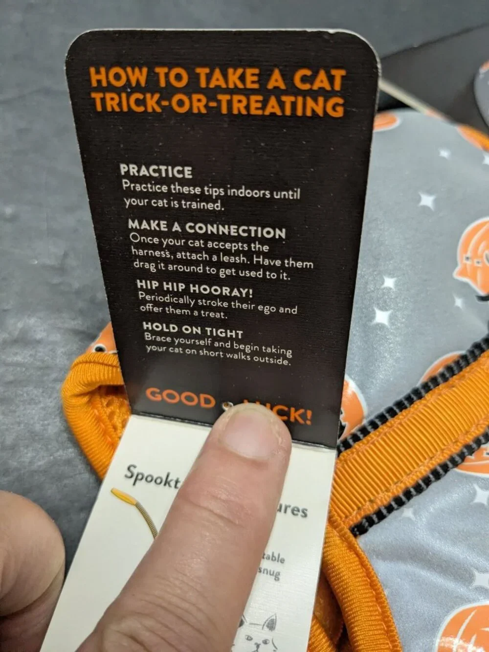Thrills & Chills Reflective Kitten Harness & Leash Pumpkin Halloween Theme